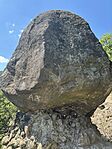 IMG_4724