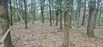 log-image-1787383682279-3