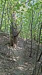20260730_164533-OK