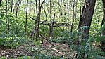 20260730_165219-OK