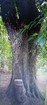 log-image-1788105327287-0