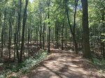 IMG_20260831_133313