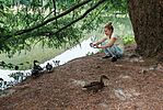 IMG_20260817_173758___