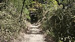 IMG_20260813_133210