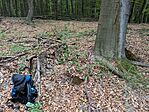PXL_20260829_090125932.MP[1]