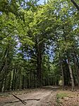 PXL_20260829_085058956[1]