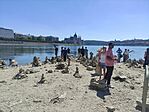 IMG_20260809_133241