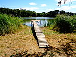 Stég