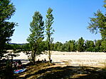 Strandon