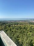 IMG_2704