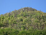 DSC09882