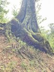log-image-1786208085966-0