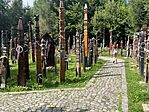IMG_6982