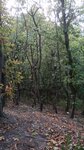log-image-1785690939153-0