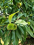 IMG_20260801_151008