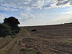 IMG_20260802_181638