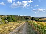 IMG_20260802_183154