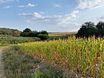 IMG_20260802_183240