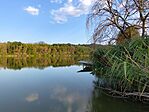 IMG_20260802_183444