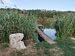 IMG_20260802_183749