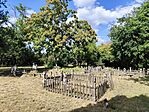 IMG_20260724_163410