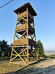 IMG_20260815_191007