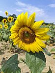 IMG_20260816_140742