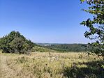 IMG_20260815_153932