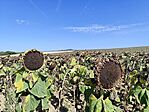 IMG_20260831_101537