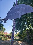 IMG_20260808_150043