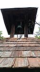 IMG_20260821_114502050