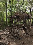 IMG_20260825_120759