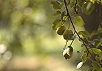 IMG_5802_1