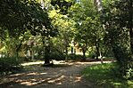 IMG_5615_1