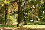 IMG_5801_1