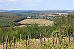 Jókilátás
