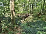 IMG_20260728_112401