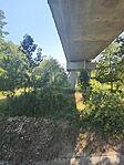 IMG_20260729_112905