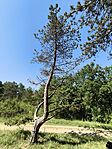 IMG_20260620_092938