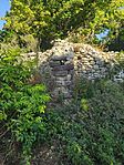 IMG_20260820_101050