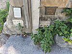 IMG_20260808_164036