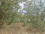 IMG_20260819_112937