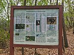 IMG_20260819_115835