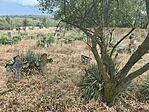 IMG_20260818_152711