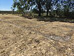 IMG_20260822_130539