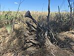 IMG_20260822_131522