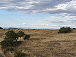 IMG_20260822_180424