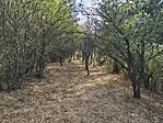 IMG_20260822_181007