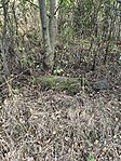 IMG_20260822_180945