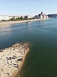 IMG_20260809_172639_977